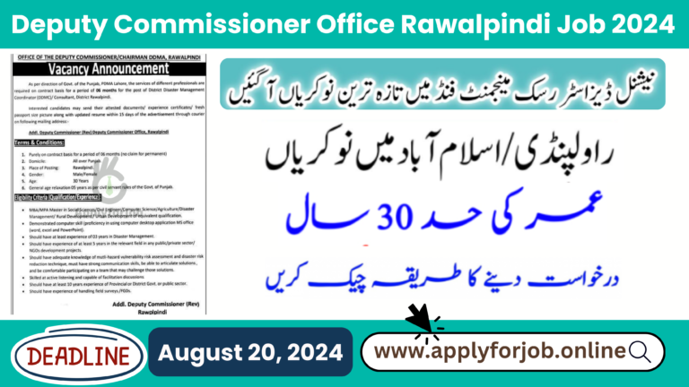 Deputy Commissioner Office Rawalpindi Job 2024-ApplyforJob