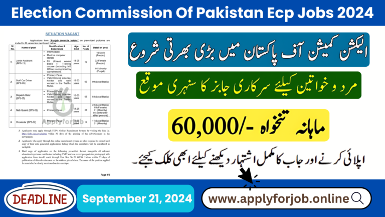 Election Commission Of Pakistan Ecp Jobs 2024-ApplyforJob